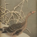1208 8046 WOOD ENGRAVING